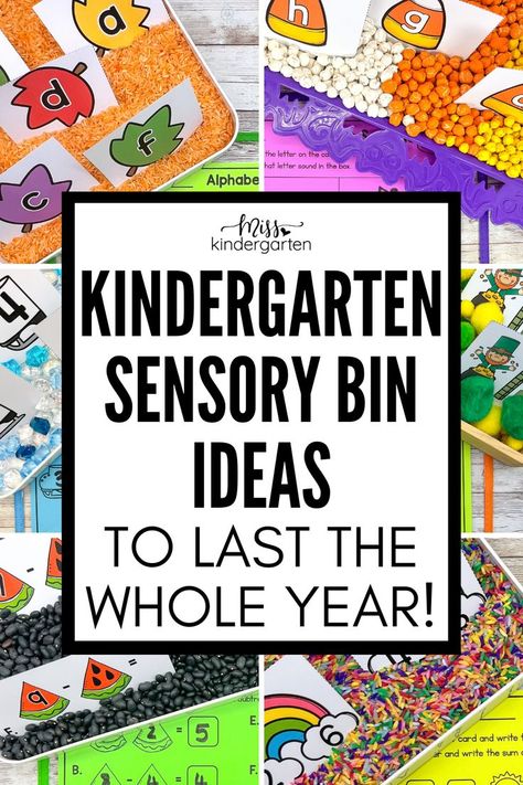 Six seasonal sensory bins Sensory Bins For Kindergarten, Transitional Kindergarten Classroom, Special Education Centers, Kindergarten Sensory, Sensory Classroom, Sensory Bin Ideas, Fall Sensory Bin, Toddler Sensory Bins, Miss Kindergarten