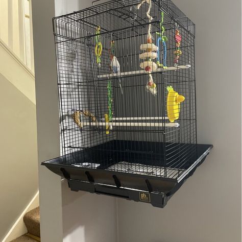 Tucker Murphy™ Pet Borum 24'' Steel Flat Top Table Top Bird Cage with Perch & Reviews | Wayfair Top Table, Flats Top, Bird Cage, Shoe Rack, Table Top, Pet, Free Shipping, Quick Saves