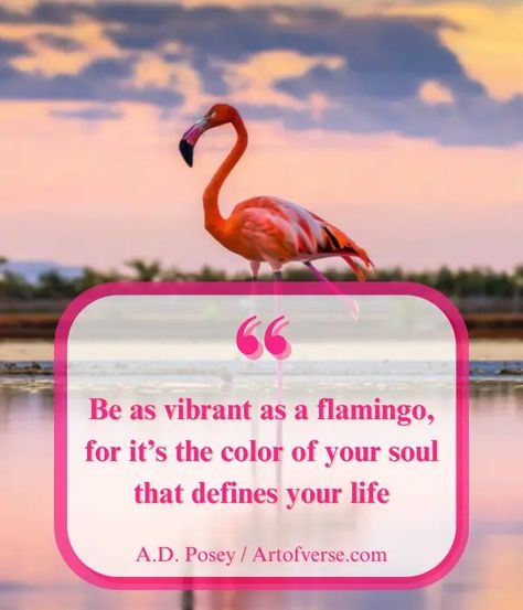 Flamingo Quotes to Inspire Boldness, Beauty - Art Of Verse Flamingo Quotes, Flamingos Quote, Funny Flamingo, How To Be Graceful, Wolf Quotes, Colorful Places, Color Quotes, Clever Quotes, Pink Bird