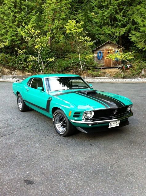 Mobil Mustang, Mustang Boss 302, 1970 Ford Mustang, Ford Mustang Boss, Jaguar Cars, Mustang Boss, Classic Mustang, Mustang Fastback, Ford Classic Cars