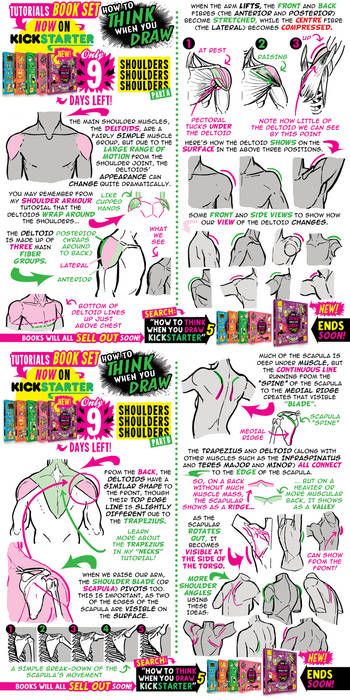 Draw Shoulders, Muscles Drawing, Etherington Brothers, Comic Tutorial, Anatomy Tutorial, Human Anatomy Drawing, Body Drawing Tutorial, Human Anatomy Art, Body Reference Drawing