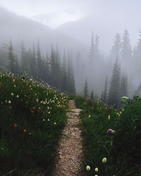 a-delightful-moment:    Elliot Hawkey - Jan's Page of Awesomeness! >. Elliot Core Aesthetic, Luke Core, Mountain Core, Adventure Core, Dark Naturalism, Star Boy, Filthy Rich, Bare Minimum, Foggy Forest