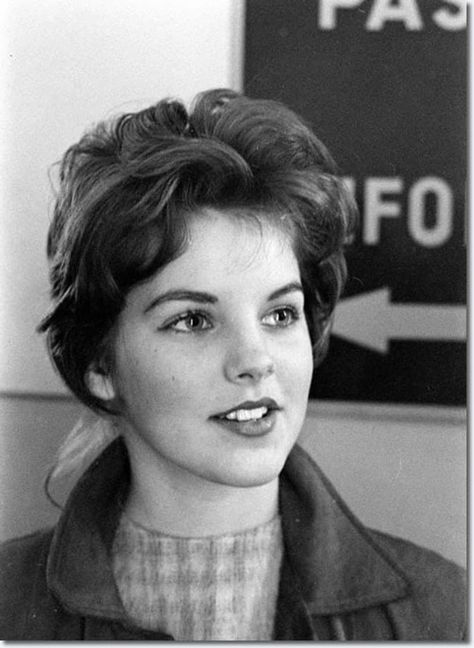 13 Pictures of Young Priscilla Presley Young Priscilla Presley, Elvis Presley Priscilla, Elvis And Priscilla, American Legend, Elvis Presley Photos, V Magazine, Priscilla Presley, Celebrity Style Red Carpet, Lisa Marie Presley