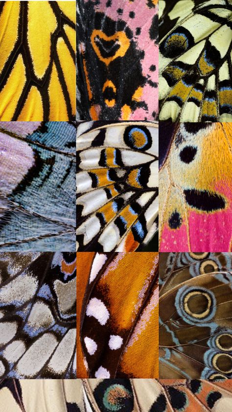 #butterfly #wing #nature #art #collage Abstract Insect Art, Butterfly Wings Aesthetic, Butterfly Mood Board, Butterfly Moodboard, Insect Collage, Textile Butterfly, Butterfly Wing Art, Butterfly Wing Pattern, Butterfly Texture