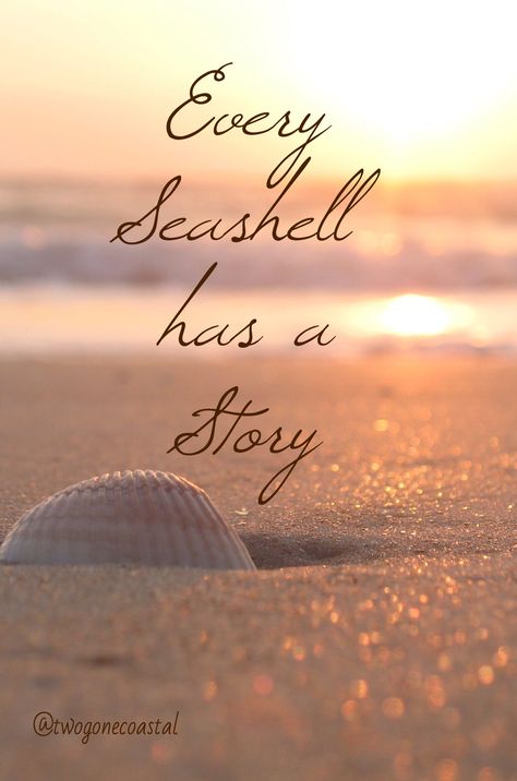 Every Seashell has a Story...collect sea shells from every beach... so far I have Jamaica, Cabo and Cancun great memories!!!! Ocean Quotes, I Love The Beach, Sanibel Island, Beach Quotes, Salt Life, Beach Time, Sunset Beach, Beach Vibes, Beach Bum