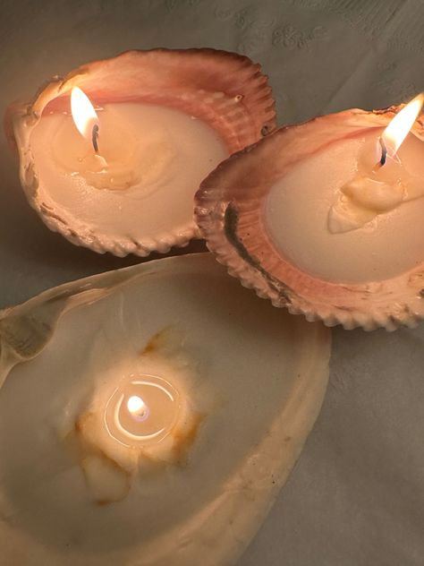 Lady Aphrodite, Handmade Candles Diy, Surf Room, Seashell Candles, Shell Candles, Pearl Beach, Shell Crafts Diy, Shell Collection, Diy Holiday Gifts