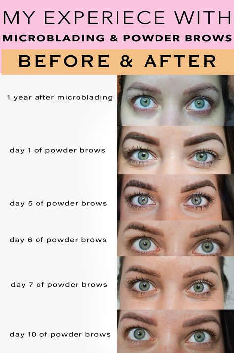 My Experience with Powder Brows (Eyebrow Tattoo) | Ela Bobak - blogger focusing on fashion, travel, lifestyle in Chicago Powder Brows Healing Stages, Microblading Vs Ombre Eyebrows, Healed Microbladed Eyebrows, Healed Powder Brows, Microblading And Powder Eyebrows, Ombre Eyebrows Healing Process, Brow Shading Tattoo, Eyebrow Tattoo Healing Process, Pmu Brows Healing Process