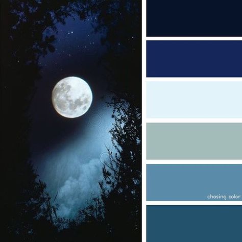 Shades Of Moonlight (Photo Credit • gothdolly.tumblr.com) #chasingcolor #colorthemes #colorful #color #palette #colorpalette #shades #tones #hues #colorinspiration #inspiration #creative #art #photography #design #theme #moon #moonlight #night #sky #nightsky #nighttime #trees #stars Wing People, Lookbook Aesthetic, Night Palette, Interior Paint Colors Schemes, Color Decor, Palette Design, Ehlers Danlos, Color Schemes Colour Palettes, Dye Ideas