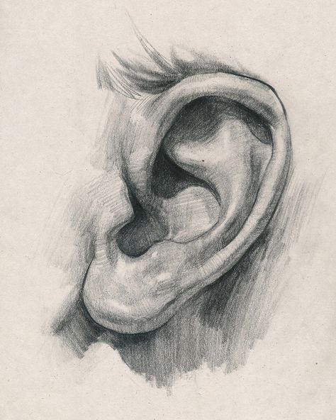 #portrait #drawing #tutorial How To Draw Ears, Ear Art, Arte Sketchbook, Anatomy Drawing, Portrait Sketches, Pencil Art Drawings, Art Drawings Sketches Creative, Pencil Portrait, A Pencil