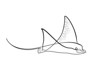 Stingray Line Art, Manta Ray Fine Line Tattoo, Manta Ray Line Art, Fine Line Manta Ray Tattoo, Shark Drawing Simple, Simple Stingray Tattoo, Sting Ray Tattoo, Marine Tattoo, Stingray Tattoo