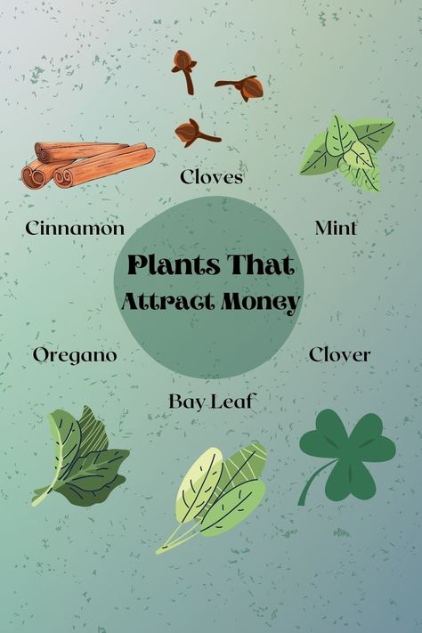 Money And Luck Spells, Herbs For Good Luck Witchcraft, Herbs For Financial Abundance, Money Attracting Herbs, Flowers For Abundance, Herbs That Attract Money, Abundance Herbs Witchcraft, Good Luck Herbs Witchcraft, Herbs For Prosperity Money