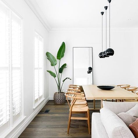 There is so much to love about interior spaces but bright light (and white!) spaces are my favourite. Beautiful image by /biasoldesign/ #wishbonechair #blackpendant #indoorplant by neutralinstinct Scandinavian Dining Room, Minimal House, Bohemian Decoration, Dark Floors, 아파트 인테리어, Sopot, Hus Inspiration, Style Deco, Dining Room Inspiration