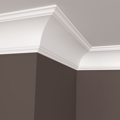 Craftsman Trim Window, Wall Trim Molding, Cove Crown Molding, Cove Moulding, Installing Wainscoting, Craftsman Trim, Molding Ceiling, Coved Ceiling, Cove Molding