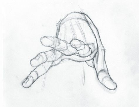 ArtStation - Study, Stefano Lanza anatomia it is more Hand Drawing Reference, Human Figure Drawing, Human Anatomy Art, Anatomy For Artists, Anatomy Drawing, Hand Sketch, Figure Drawing Reference, Body Drawing, Hand Art Drawing