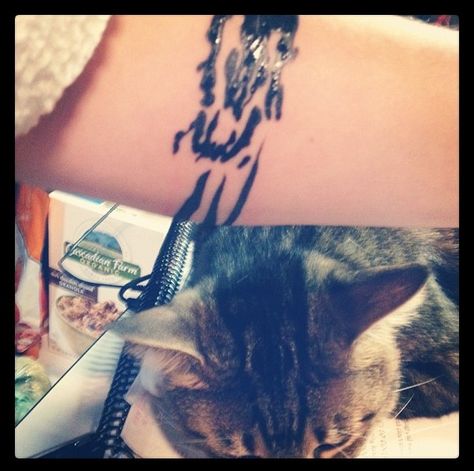 Tattoo: the pattern on the top of my cats head. (Crazycatladystatusachieved) Pet Marking Tattoo, Animal Marking Tattoo, Cat Forehead Marking Tattoo, Cat Head Marking Tattoo, Cat Fur Pattern Tattoo, Cat Forehead Tattoo, Cat Head Tattoo Outline, Cat Head Pattern Tattoo, Cat Markings Tattoo