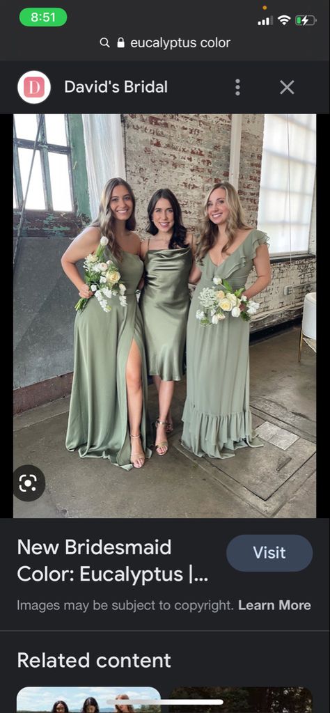 Eucalyptus Dress, Davids Bridal Bridesmaid Dresses, Bridesmaid Colors, Bridal Bridesmaid Dresses, Eucalyptus Wedding, Dear Future Husband, Bride Squad, Blog Images, Wedding Bridesmaid Dresses