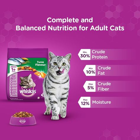 Cat Parents, Are You Feeding Your Feline the Ultimate Nutrition? https://amzn.to/4cBrSCW @whiskasindia Whiskas Dry Cat Food for Adult Cats (1+ Years), Tuna Flavour, 20 kg Whiskas Cat Food, Balanced Nutrition, Cat S, Cat Parenting, Dry Cat Food, Essential Nutrients, Cat Pet Supplies, Gaming Gifts, Cat Food