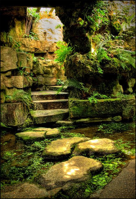 Stone Steps, Hidden Garden, Moss Garden, Alam Yang Indah, Nature Aesthetic, Shade Garden, Garden Paths, Water Garden, Japanese Garden