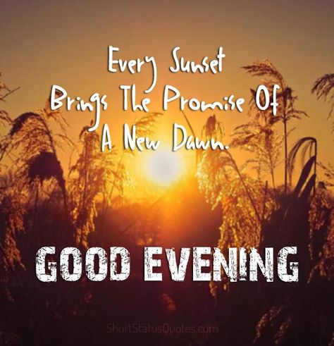 Good Evening Status, Captions and Good Evening Wishes Lovely Evening Wishes, Nice Evening Wishes, Evening Wishes Image, Evening Status, Good Evening Sms, Good Evening Quotes, Saima Khan, Status Captions, Have A Good Evening