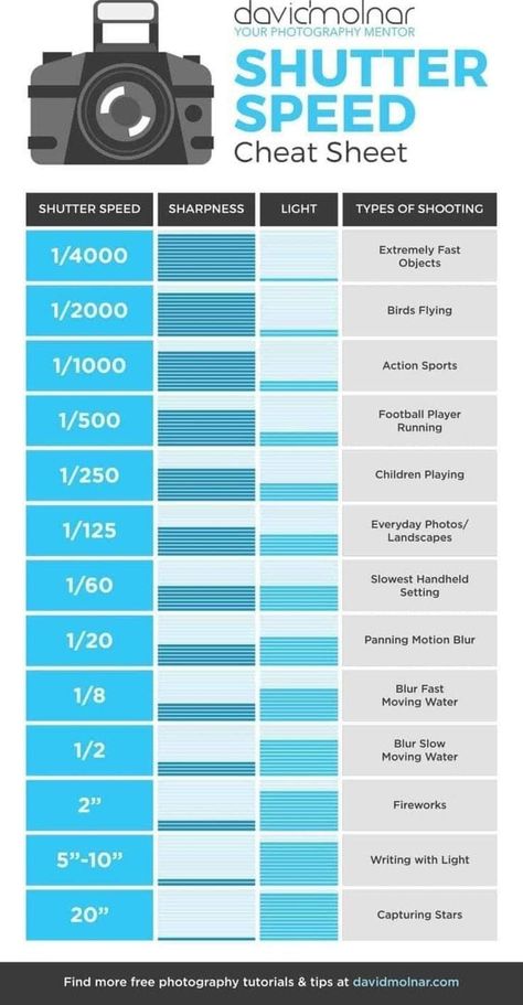 Sony Lenses Guide, Beginners Guide To Portrait Photography, Canon Powershot Sx420 Is Tips, Canon Essential Lenses, Canon Eos R100 Tips, Kodak Pixpro Az252 Tips, Camera Settings For Dark Indoor, Motion Blur Photography Settings, Canon Eos 4000d Tips