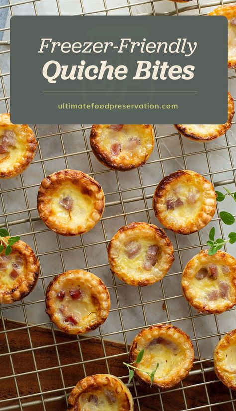 Freezer Friendly Mini Quiche, Freezer Mini Quiche, Freezable Quiche Recipes, Savory Freezer Snacks, Freezer Friendly Baking, Quiche Freezer Meal, Freezable Mini Quiche, Freezer Friendly Meal Prep Lunches, Freezer Quiche Make Ahead