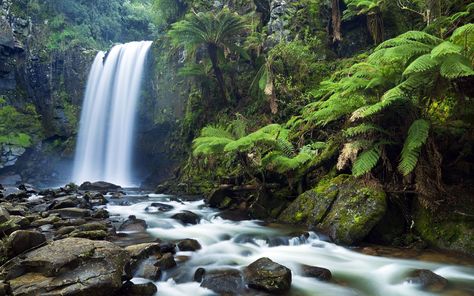 Nature, Waterfall Background, Live Wallpaper For Pc, New Nature Wallpaper, Waterfall Wallpaper, Cheap Wallpaper, Waterfall Landscape, Air Terjun, Beautiful Waterfalls