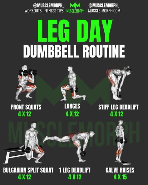 Leg Exercise With Dumbell, Leg Workout With Dumbell, Db Only Leg Workout, Dumbell Workout For Glutes, Workout Programs With Dumbbells, Leg Workout For Men Dumbell, Lower Body Dumbbell Workout Men, Leg Workout Dumbbells, Lower Dumbbell Workout