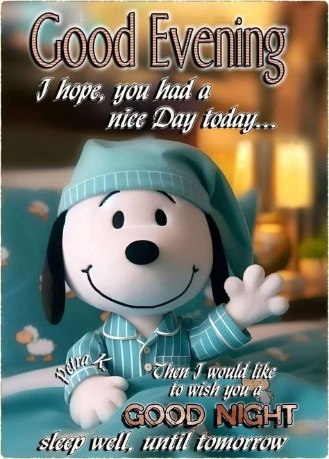 Goodnight Snoopy, Cute Good Night Quotes, Good Night Sleep Well, Good Evening Messages, Good Night Prayer Quotes, Good Morning Snoopy, Happy Day Quotes, Good Night Funny, Good Evening Greetings