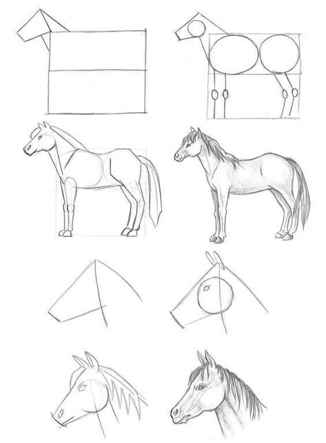 Horse Painting Ideas Easy, Horse Painting Step By Step, Horse Drawings Pencil Easy, Drawing Ideas Horse, Horse Sketch Easy, Horse Drawing Easy, Easy Horse Drawing, Horse Tutorial, Horse Drawing Tutorial