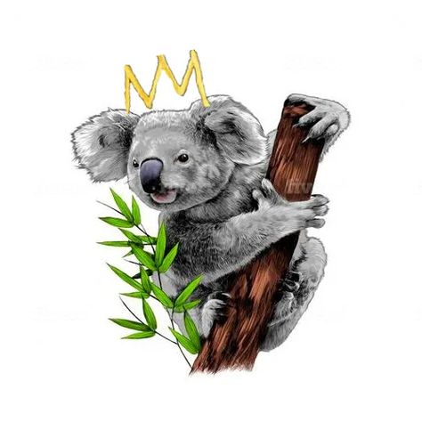 Eucalyptus Koala, Animals Sketches, Koala Tattoo, Koala Illustration, Koala Drawing, Cute Koala Bear, Animals Painting, Bear Drawing, Baby Koala