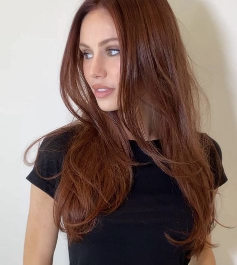 Orange Brown Hair, Dark Ginger Hair, Copper Brown Hair, Auburn Hair Color, Dark Auburn Hair, Cinnamon Hair, Rambut Brunette, Red Hair Inspo, Ginger Hair Color