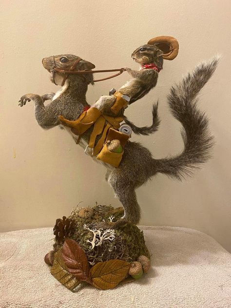 Taxidermy Mouse Funny, Squirrel Mounts Taxidermy, Cute Taxidermy, Cool Taxidermy, Taxidermy Art Weird, Fantasy Taxidermy, Taxidermy Room, Weird Taxidermy, Funny Taxidermy