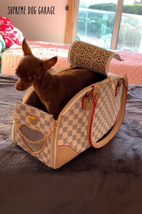 designer dog carrier Dog Purse Carrier, Large Dog Carrier, Dog Garage, Luxury Dog Carrier, Purse Dog, Puppy Purse, Cat Carriers, Designer Dog Accessories, Dog Carrier Purse