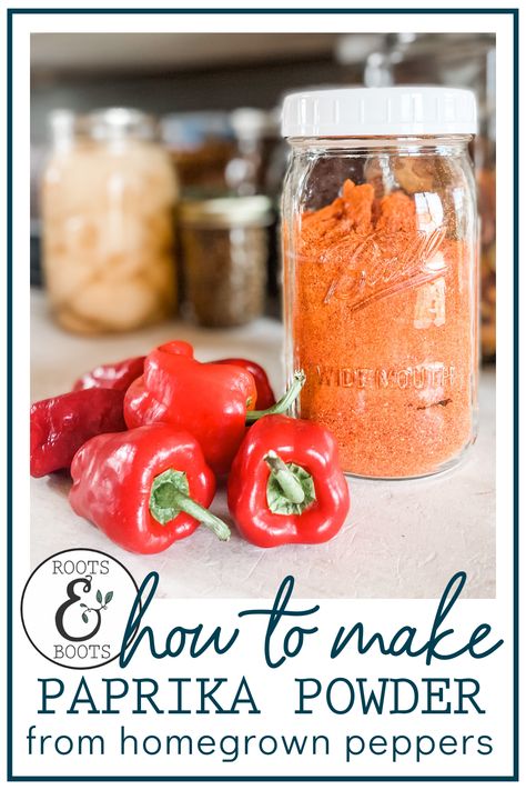 From Seed To Plant, Seed To Plant, Canning Peppers, Dehydrating Food Storage, Paprika Recipes, Paprika Pepper, Dehydrated Vegetables, Spice Mix Recipes, Dried Peppers