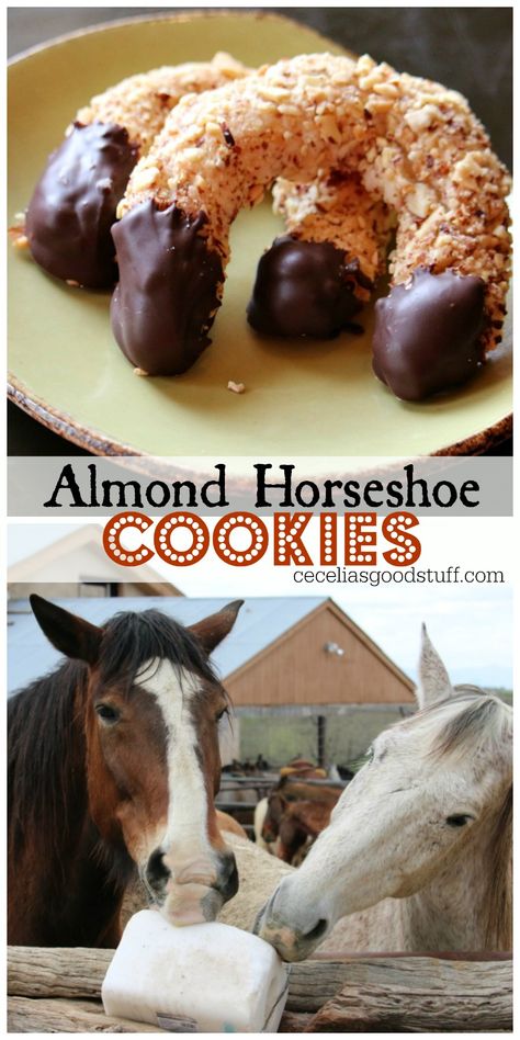 Recipe for Almond Horseshoe Cookies Horse Shoe Cookies, Horseshoe Cookies, Vbs Snacks, Shoe Cookies, Vanilla Bean Paste, Salt Block, Dipped Cookies, Almond Extract, Bean Seeds