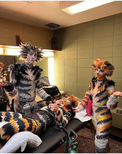 Cats The Musical, Cats Pics, Jellicle Cats, Theatre Actor, Cats Musical, Music Theater, Musical Movies, Musical Theatre, Cat Pics