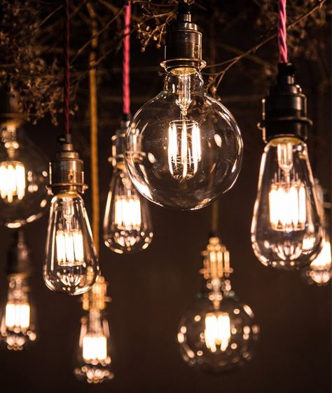 Factorylux LED-Filament light bulbs Globe Vintage, Retro Light, Filament Bulb Lighting, Edison Lighting, Romantic Lighting, Lightbulbs, Retro Lighting, Filament Bulb, Light Architecture