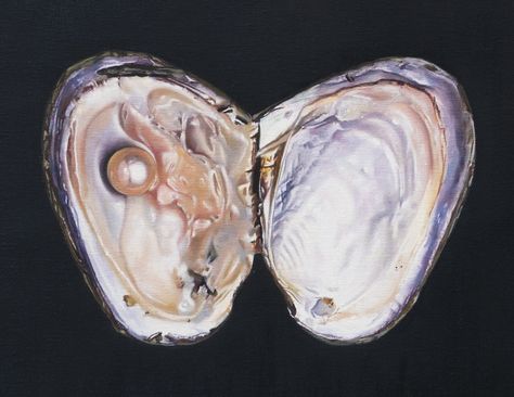 Pearl Oyster, Oyster Aesthetic, Oyster Art, Pearl In Oyster Drawing, Shell Painting, Pearls In Oysters Aesthetic, Pearls In Oysters, Oyster Pearl Painting, Pearl In An Oyster