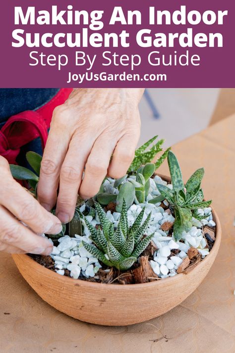 Succulent dish gardens are fun to make. Here's an indoor succulent garden DIY & as well as a succulent dish garden DIY. These indoor succulent garden ideas give you indoor succulent garden design. Find out how to make a succulent dish garden along with indoor succulent garden ideas decor. These succulent dish garden ideas are great for an indoor succulent garden table. Learn how to make succulent arrangements here. #succulentsforbeginners #succulenthomedecor Dish Garden Ideas, Indoor Succulent Garden Ideas, Succulent Dish Garden, Indoor Succulent Garden, Plants 101, Succulent Garden Ideas, Cactus Landscape, Dish Gardens, Succulent Garden Landscape