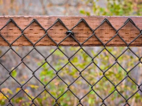 Chain Link Fencing Secured to a Wood Fence. Wood Post Chain Link Fence, California Chain Link Fence, Repurposed Chain Link Fence, Chain Link Fence With Wood Posts, Upgrade Chain Link Fence Ideas, Repurpose Chain Link Fence, Making Chain Link Fence Look Better, Dress Up Chain Link Fence, Diy Chain Link Fence Makeover