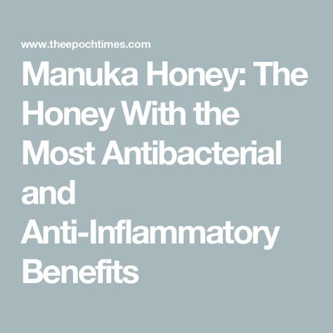 Manuka Honey: The Honey With the Most Antibacterial and Anti-Inflammatory Benefits Severe Cough, Osmotic Pressure, Types Of Honey, See And Say, Digestion Process, Cell Membrane, Beneficial Bacteria, Manuka Honey, Wound Healing