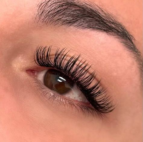 C Curl Classic Eyelash Extensions, C Curl Vs D Curl Lashes Extensions, Flat Lash Extensions, Lash Extension Pictures, 12 Mm Lash Extensions, Full Classic Lash Extensions, Mega Classic Lashes, Classic Full Set Lash Extensions, Classic Set Lashes