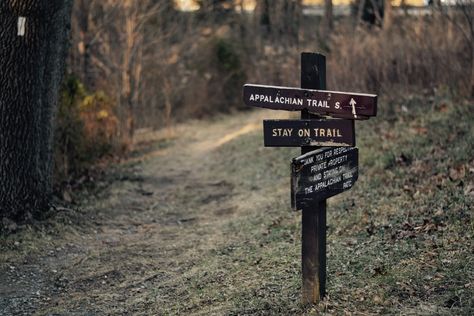 The Most Dangerous Creatures on the Appalachian Trail - Drivin' & Vibin' Appalachian Witch Aesthetic, Dark Appalachian Aesthetic, Appalachian Trail Aesthetic, Appalachian Mountains Creepy, Appalachian Cryptids, Appalachia Gothic, Haunted Appalachia, Appalachia Core, Appalachian Gothic Aesthetic