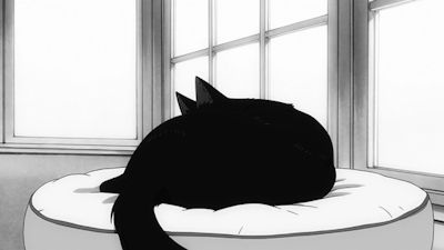 Black Cat Banner Gif, Black Cat Discord Banner, Black And White Pfp Gif, Discord Banner Gif White, Cat Banner Gif, Cat Gif Banner, Black And White Anime Gif, Black And White Gif Banner, Cat Banner Discord