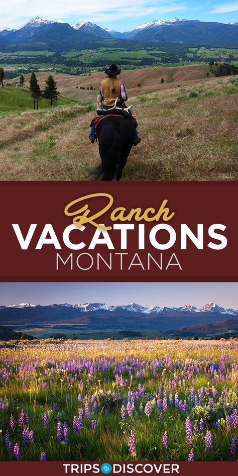 Buenos Aires, Dude Ranch Vacations, Montana Ranch, Montana Vacation, Montana Travel, Vacations In The Us, Vacation Goals, Guest Ranch, Dude Ranch