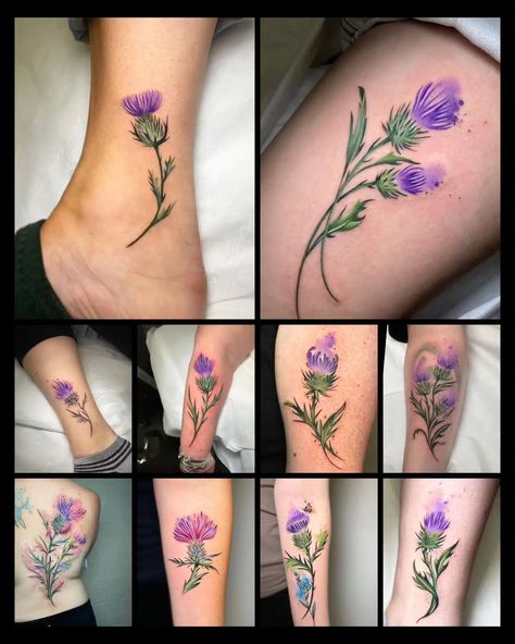 O' Flower of Scotland! We never tire of creating thistle tattoos, particularly this time of year when we meet so many people from around the world for the Edinburgh Festival looking to immortalise their trip. These are all made by Noemi but Nat and Enrique have both been busy jamming in the odd thistle in between appointments. We are generally fully booked far in advance however, we are a street shop and if we can make the time to facilitate smaller pieces we always do our best to accommodate. Thistle Tattoos, Highland Cow Tattoo, Thistle Flower Tattoo, Scottish Thistle Art, Just Breathe Tattoo, Scotland Tattoo, Watermelon Tattoo, Scottish Thistle Tattoo, Scottish Tattoos