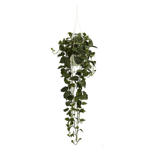 Philodendron Hanging Basket Grass Texture, Plants In Baskets, Hanging Plants Diy, Artificial Plant Arrangements, Artificial Plants Decor, Artificial Plants Indoor, Artificial Plant Wall, Philodendron Plant, Fleurs Diy