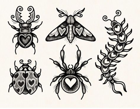 Cosmic Drifters, Flash Art Tattoos, Art Flash, Kunst Tattoos, Insect Tattoo, Bug Tattoo, Traditional Tattoo Sleeve, Tattoo Flash Sheet, Spooky Tattoos