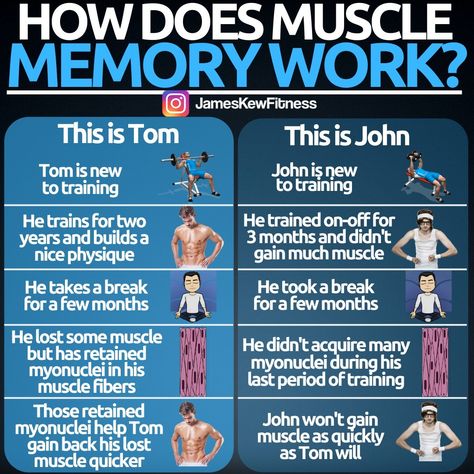 James Kew on Instagram: “Muscle memory is a phenomenon that allows people who have previously gained substantial amount of muscle tissue to regain their lost muscle…” Push Pull Workout, Bodyweight Workout Routine, Gym Workout Chart, Improve Brain Function, Gym Tips, Muscle Memory, Aerobics Workout, Workout Chart, Muscle Tissue