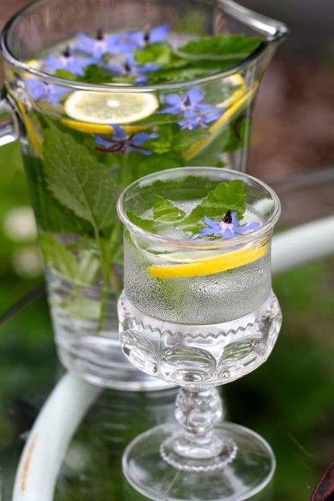 How to Make a Lemon Balm Simple Syrup (medicinal herbs forum at permies) Blue Borage, Edible Flowers Recipes, Lectin Free, Tea Store, Lemon Slices, Herbal Recipes, Garden Recipes, Flower Food, Wild Food